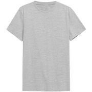 Lyhythihainen t-paita 4F  TSM352  EU XXL