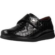 Kengät Pitillos  10714P  37