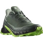 Kengät Salomon  Alphacross 5  46