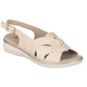 Sandaalit Pitillos  SANDAALIT  5581  38