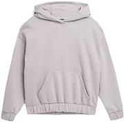 Svetari 4F  4FSS23TSWSF255SZARY  EU XXL