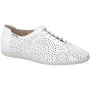 Balleriinat Mephisto  Katie sun  36