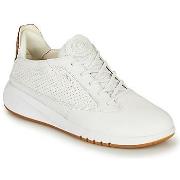 Kengät Geox  D AERANTIS  36