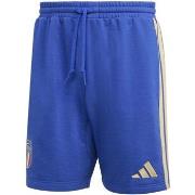 Shortsit & Bermuda-shortsit adidas  Figc Dna Sho  EU XXL