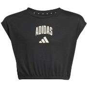 T-paidat & Poolot adidas  Jg Clgt Tee  11 / 12 vuotta