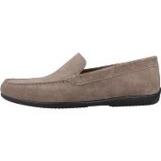 Kengät Geox  U ASCANIO  40