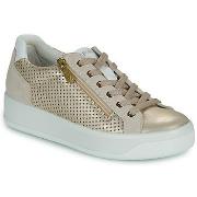 Kengät IgI&CO  D.AVA  36