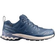 Kengät Salomon  Xa Pro 3d V9 Gtx  44