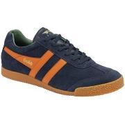 Kengät Gola  Harrier Suede  41