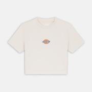 Lyhythihainen t-paita Dickies  MAPLE VALLEY  EU S