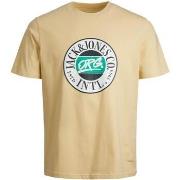 Lyhythihainen t-paita Jack & Jones  12240664  EU M