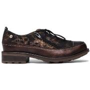 Kengät Maciejka  0705602001  37