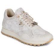 Kengät Cetti  C-848-SRA-V26-SNAKE-MARFIL  36