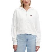 Svetari Tommy Jeans  DW0DW21147  EU S