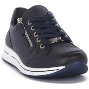 Kengät Ara  CERVOCALF BLU  38