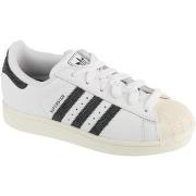Kengät adidas  adidas Superstar II W  38