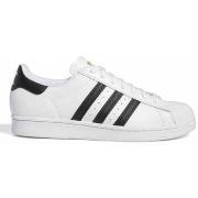 Tennarit adidas  Superstar adv  36