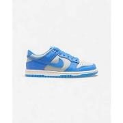 Kengät Nike  Dunk Low Light Silver Sail Light Photo Blue (GS)  38