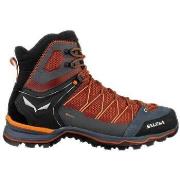 Kengät Salewa  Mountain Lite Goretex  45