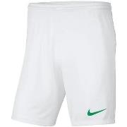 Shortsit & Bermuda-shortsit Nike  Park III  EU XXL