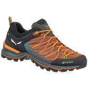 Tennarit Salewa  Mountain Trainer Lite  42