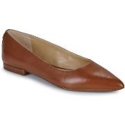 Balleriinat Lauren Ralph Lauren  -  36