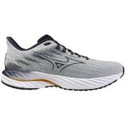 Kengät Mizuno  Chaussures de running  Wave Inspire 21  41