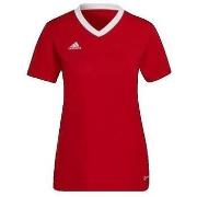 Lyhythihainen t-paita adidas  T-shirt  Entrada 22 rouge  EU S