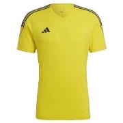 Lyhythihainen t-paita adidas  T-shirt  Tiro 23 League Jaune  EU M