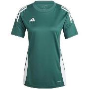 Lyhythihainen t-paita adidas  T-shirt  Tiro 24 vert  EU L