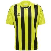 Lyhythihainen t-paita hummel  T-shirt  Core XK rayé  EU M