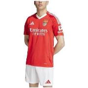 Lyhythihainen t-paita adidas  T-shirt  Benfica 24/25 rouge  EU S