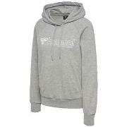 Svetari hummel  Sweat à capuche  Noni 2.0 gris  EU S