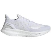 Kengät adidas  Chaussures de running  Pureboost 5  44
