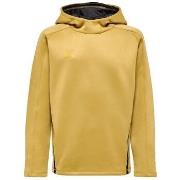 Svetari hummel  Sweat à capuche  Cima XK doré  EU S