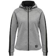 Svetari hummel  Sweatshirt  hmlESSI à capuche zippée effet bicolore  E...