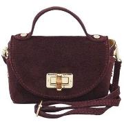 Käsilaukku Barberini's  br33230  Yksi Koko