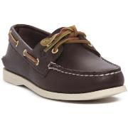 Kengät Sperry Top-Sider  SPERRY AO 2 EYE BROWN SMOOTH  37
