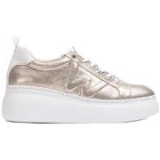 Kengät Wonders  Dorita  41