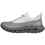 Kengät Ecco  Biom 720 GTX  42