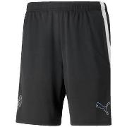 Shortsit & Bermuda-shortsit Puma  Neymar Creativity  EU S