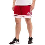 Shortsit & Bermuda-shortsit adidas  Short  Squadra 25 Rouge  EU S