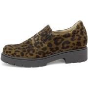 Kengät Piesanto  255629  36