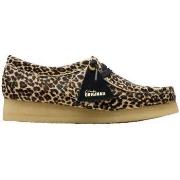 Kengät Clarks  Chaussures  Wallabee motif léopard en daim  39