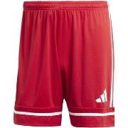 Shortsit & Bermuda-shortsit adidas  Squa25 Sho M  EU XXL