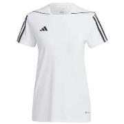Lyhythihainen t-paita adidas  T-shirt  Tiro 23 League  EU S