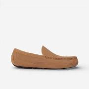 Kengät UGG  Ascot Slipper Chestnut  41