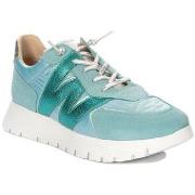 Kengät Wonders  A2464  36