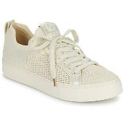 Kengät No Name  ARCADE FLY W  37