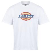 Lyhythihainen t-paita Dickies  DICKIES ICON SS TEE WHITE  EU S